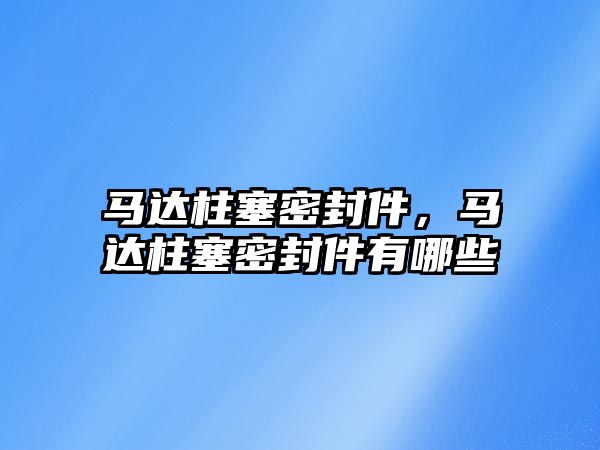 馬達柱塞密封件，馬達柱塞密封件有哪些