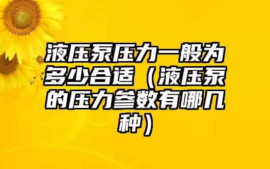 液壓泵壓力一般為多少合適（液壓泵的壓力參數有哪幾種）