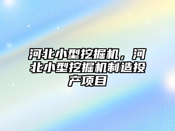 河北小型挖掘機，河北小型挖掘機制造投產項目