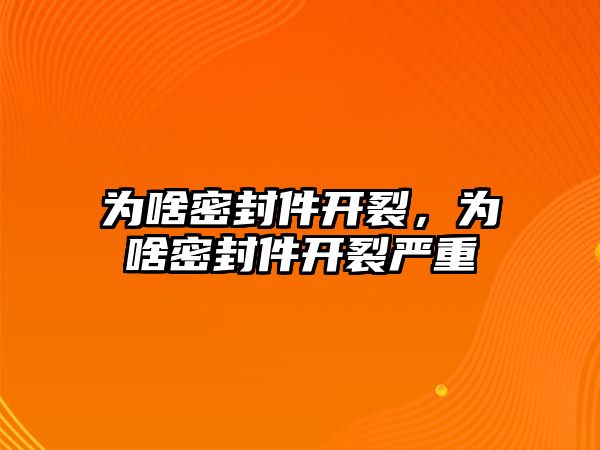 為啥密封件開裂，為啥密封件開裂嚴(yán)重