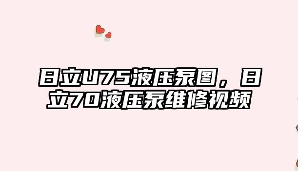 日立U75液壓泵圖，日立70液壓泵維修視頻