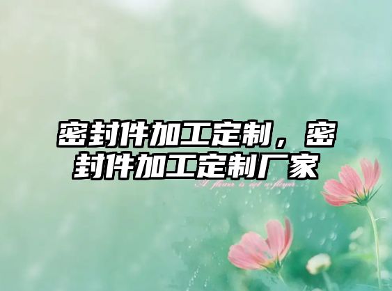 密封件加工定制，密封件加工定制廠家