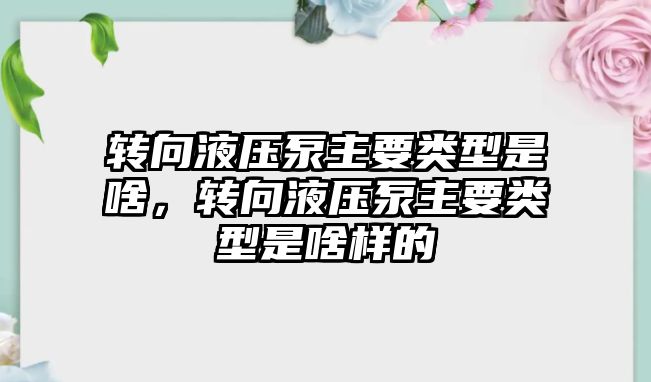 轉向液壓泵主要類型是啥，轉向液壓泵主要類型是啥樣的