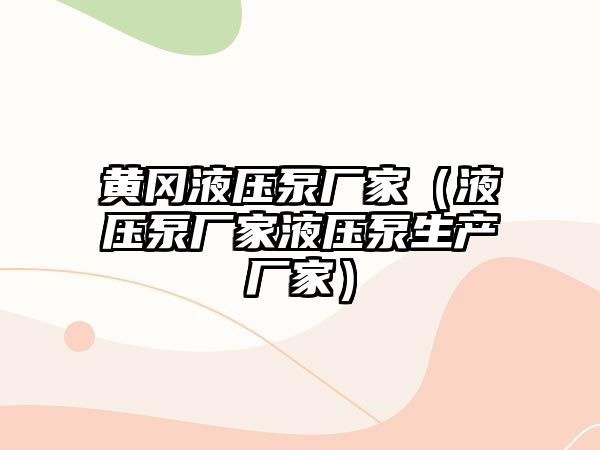 黃岡液壓泵廠(chǎng)家（液壓泵廠(chǎng)家液壓泵生產(chǎn)廠(chǎng)家）