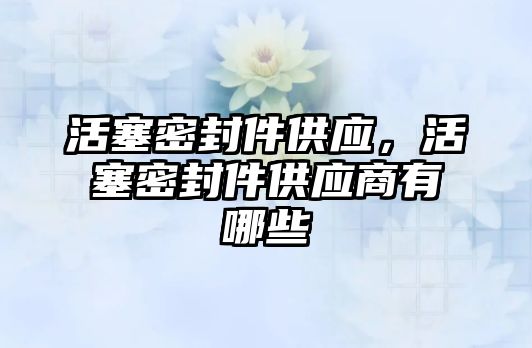 活塞密封件供應(yīng)，活塞密封件供應(yīng)商有哪些