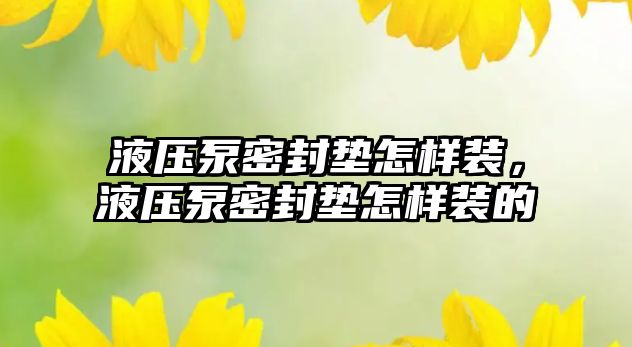 液壓泵密封墊怎樣裝，液壓泵密封墊怎樣裝的