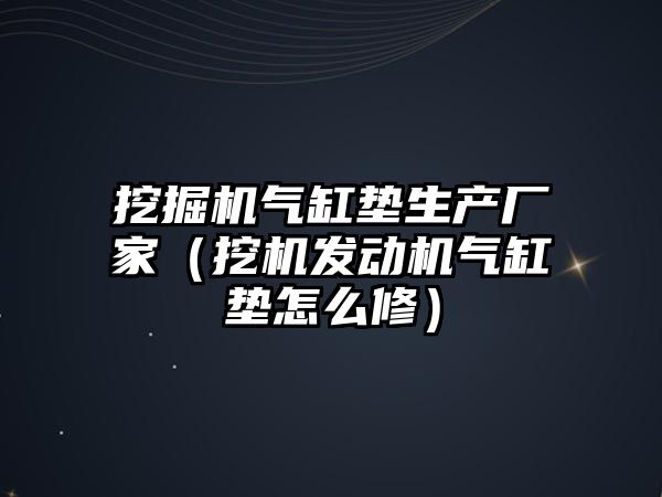 挖掘機氣缸墊生產(chǎn)廠家（挖機發(fā)動機氣缸墊怎么修）