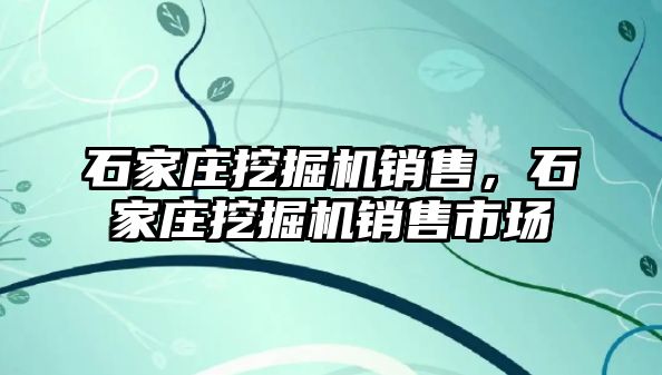 石家莊挖掘機銷售，石家莊挖掘機銷售市場