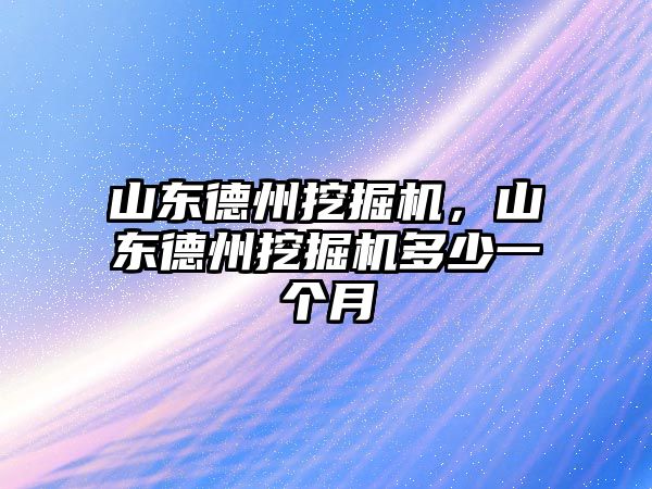 山東德州挖掘機，山東德州挖掘機多少一個月