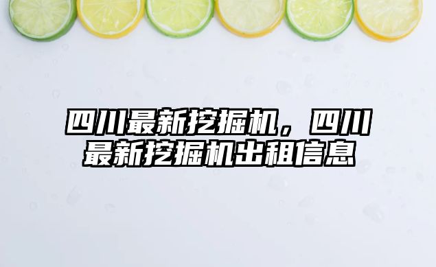 四川最新挖掘機(jī)，四川最新挖掘機(jī)出租信息