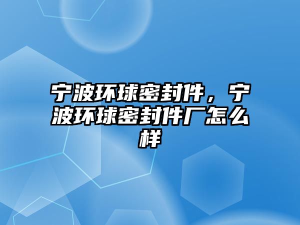 寧波環(huán)球密封件，寧波環(huán)球密封件廠怎么樣