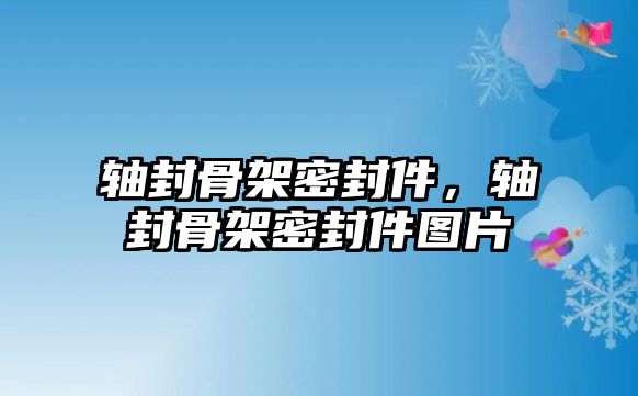 軸封骨架密封件，軸封骨架密封件圖片