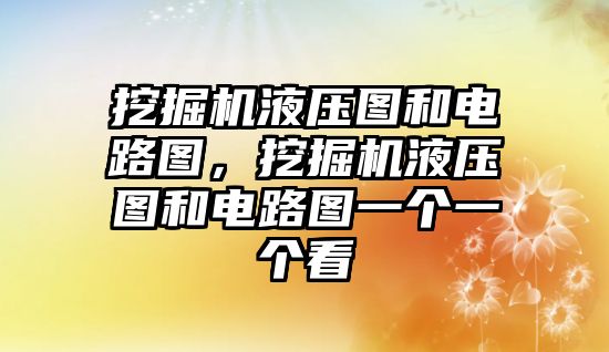 挖掘機液壓圖和電路圖，挖掘機液壓圖和電路圖一個一個看