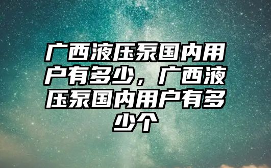 廣西液壓泵國內(nèi)用戶有多少，廣西液壓泵國內(nèi)用戶有多少個