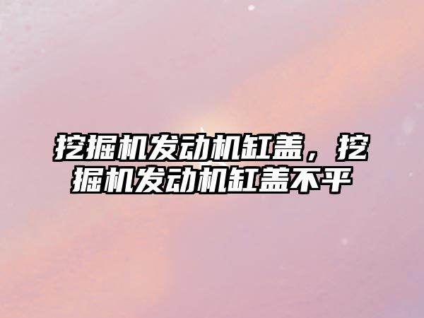 挖掘機發(fā)動機缸蓋，挖掘機發(fā)動機缸蓋不平