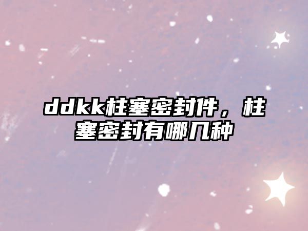 ddkk柱塞密封件，柱塞密封有哪幾種