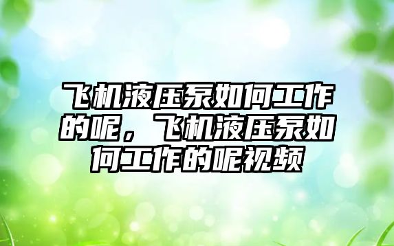 飛機液壓泵如何工作的呢，飛機液壓泵如何工作的呢視頻