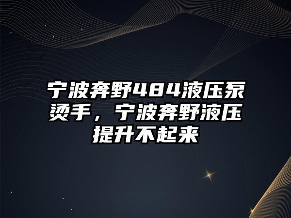 寧波奔野484液壓泵燙手，寧波奔野液壓提升不起來