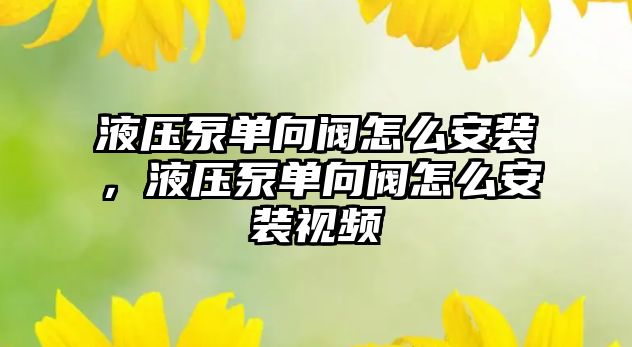 液壓泵單向閥怎么安裝，液壓泵單向閥怎么安裝視頻