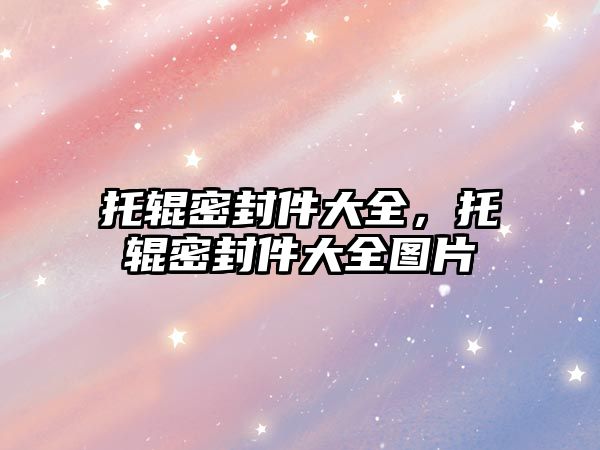 托輥密封件大全，托輥密封件大全圖片