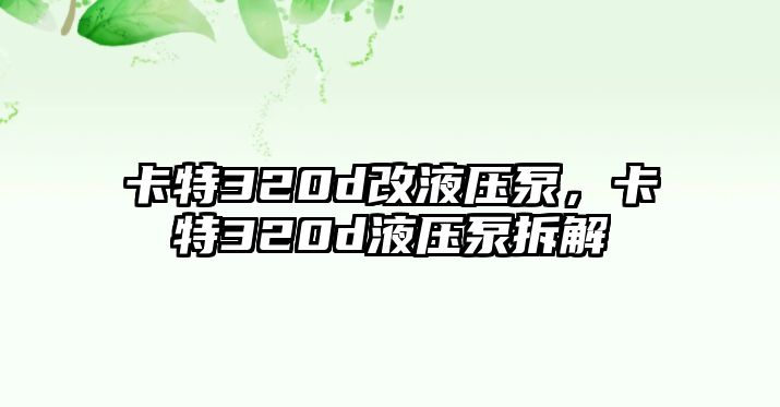 卡特320d改液壓泵，卡特320d液壓泵拆解