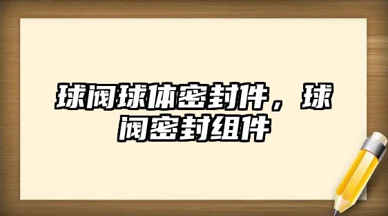 球閥球體密封件，球閥密封組件