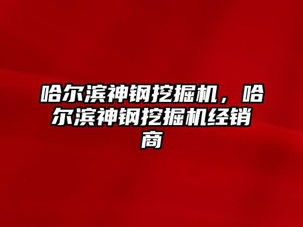 哈爾濱神鋼挖掘機，哈爾濱神鋼挖掘機經銷商