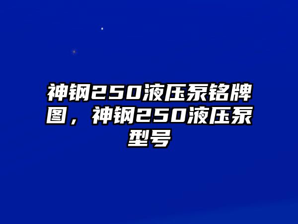 神鋼250液壓泵銘牌圖，神鋼250液壓泵型號(hào)