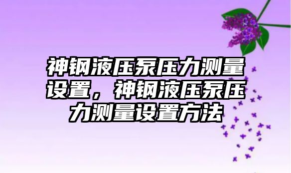 神鋼液壓泵壓力測量設(shè)置，神鋼液壓泵壓力測量設(shè)置方法