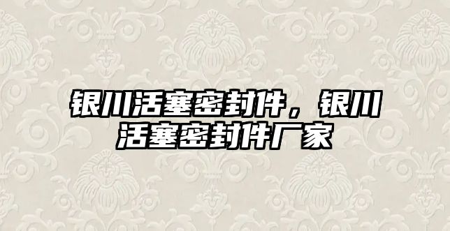 銀川活塞密封件，銀川活塞密封件廠家