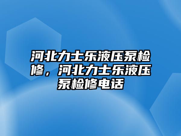 河北力士樂液壓泵檢修，河北力士樂液壓泵檢修電話