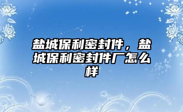 鹽城保利密封件，鹽城保利密封件廠怎么樣