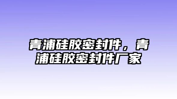 青浦硅膠密封件，青浦硅膠密封件廠家