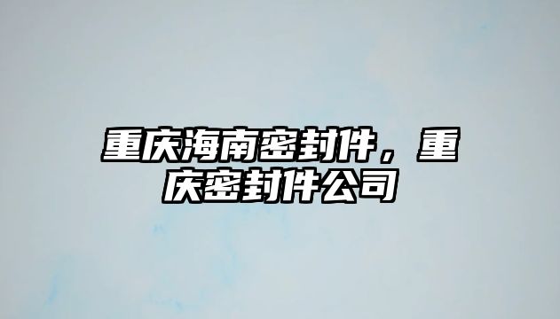 重慶海南密封件，重慶密封件公司