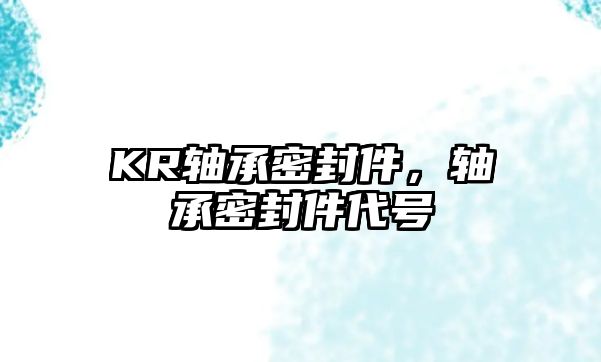 KR軸承密封件，軸承密封件代號