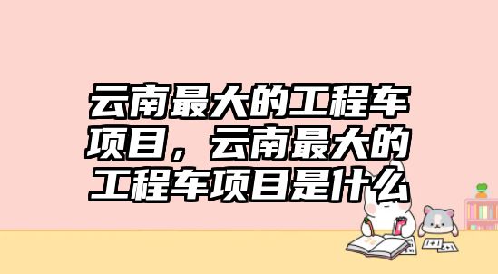 云南最大的工程車項目，云南最大的工程車項目是什么