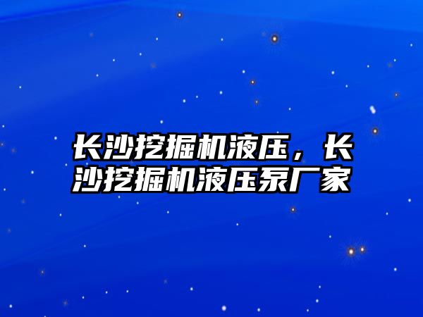 長沙挖掘機液壓，長沙挖掘機液壓泵廠家