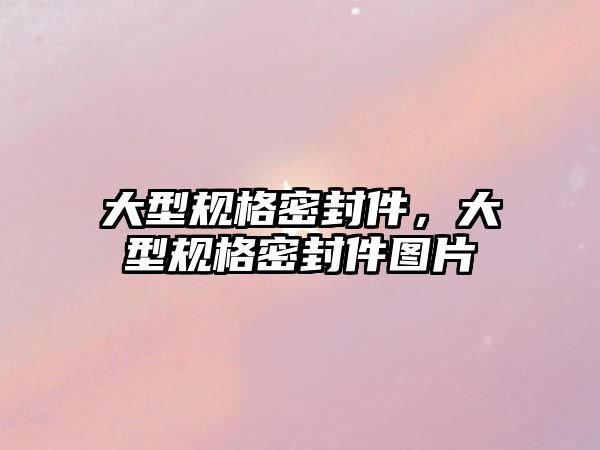 大型規(guī)格密封件，大型規(guī)格密封件圖片