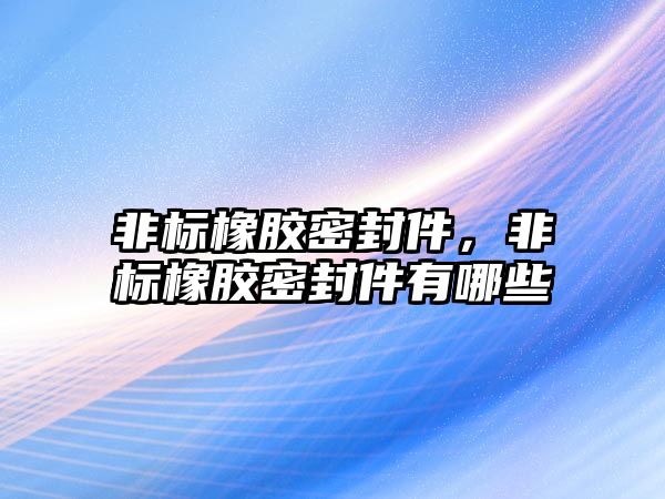 非標橡膠密封件，非標橡膠密封件有哪些