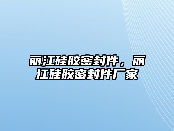 麗江硅膠密封件，麗江硅膠密封件廠家