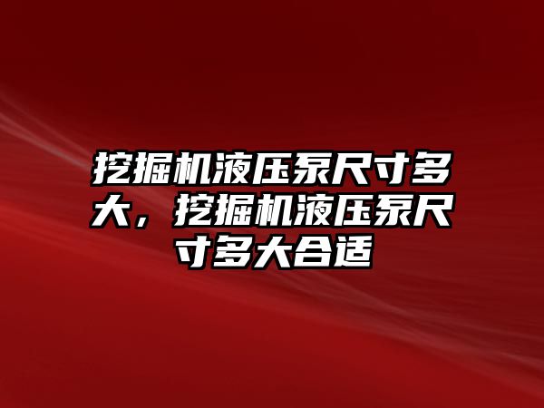 挖掘機液壓泵尺寸多大，挖掘機液壓泵尺寸多大合適