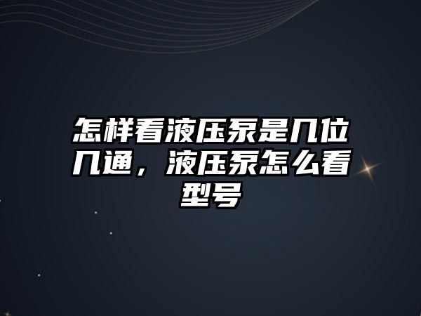 怎樣看液壓泵是幾位幾通，液壓泵怎么看型號(hào)