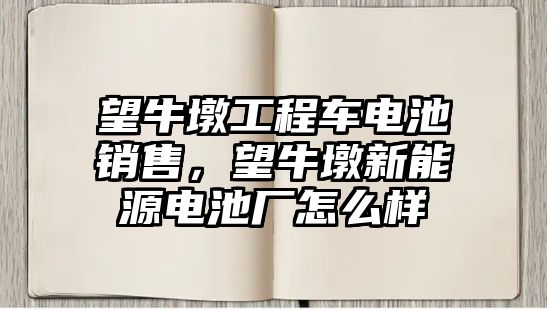 望牛墩工程車電池銷售，望牛墩新能源電池廠怎么樣