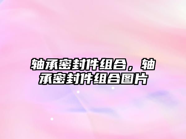 軸承密封件組合，軸承密封件組合圖片