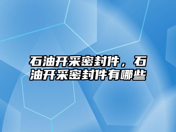 石油開采密封件，石油開采密封件有哪些