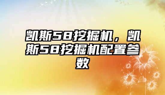 凱斯58挖掘機(jī)，凱斯58挖掘機(jī)配置參數(shù)