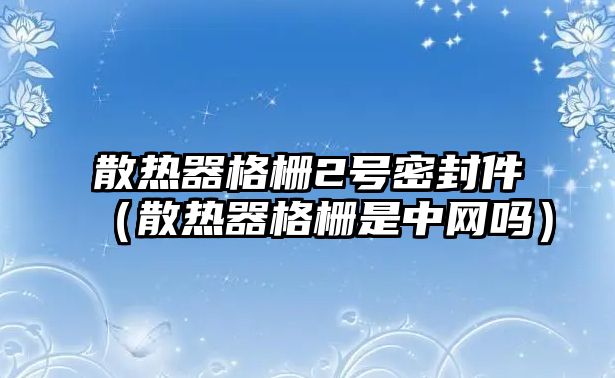 散熱器格柵2號密封件（散熱器格柵是中網(wǎng)嗎）