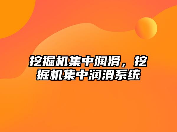 挖掘機集中潤滑，挖掘機集中潤滑系統(tǒng)