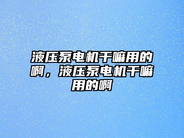 液壓泵電機干嘛用的啊，液壓泵電機干嘛用的啊