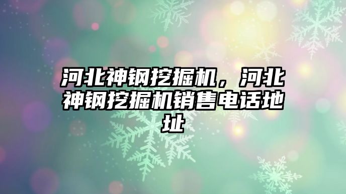 河北神鋼挖掘機，河北神鋼挖掘機銷售電話地址